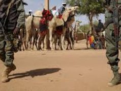 Lutte contre le terrorisme au Mali: attention à la stigmatisation!