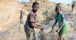 Afrique Centrale et de l’Ouest: Nestlé progresse dans la lutte contre le travail des enfants