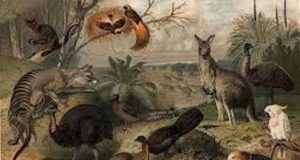 Togo: les espèces protégées du parc de Fazao sous menace d’extinction