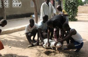 Burkina: la Tabaski sera fêtée le 11 août