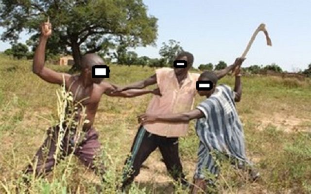 conflits-agriculteurs-éleveurs