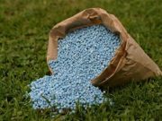 Campagne agricole 2018-2019: La SOFITEX lance un avis d’appels d’offres d’engrais