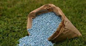 Campagne agricole 2018-2019: La SOFITEX lance un avis d’appels d’offres d’engrais