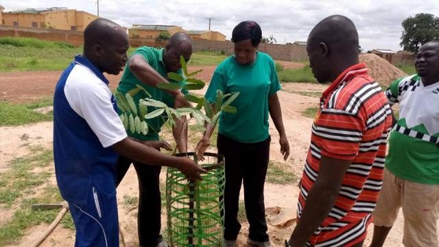 une vue de residents protégeant un arbre mis en terre