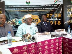 Semaine des Activités minières de l’Afrique de l’ouest (SAMAO): la troisième édition prévue du 27 au 29 septembre