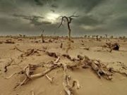 Changement climatique: une menace croissante pour les personnes fuyant déjà la guerre