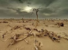 Changement climatique: La CEA et ses partenaires réitèrent leur soutien à la quête de développement inclusif