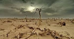 Changement climatique: La CEA et ses partenaires réitèrent leur soutien à la quête de développement inclusif