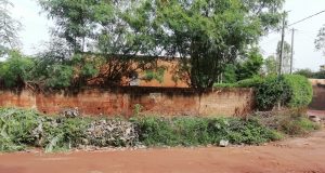 Ouagadougou: « Un champ de patates sur la voie publique aux 1200 Logements »