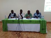 Moustiques OGM: Des OSC dénoncent une «complicité» du gouvernement burkinabè