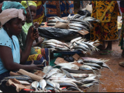 22 personnes accumulent 2 fois plus de richesses que l’ensemble des femmes d’Afrique