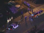 USA : douze personnes tuées dans une fusillade en Californie