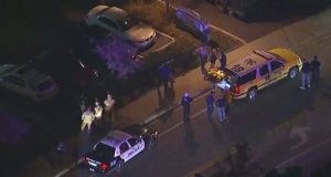USA : douze personnes tuées dans une fusillade en Californie