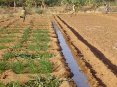 Irrigation au Sahel : un projet d’appui lancé à Ouagadougou