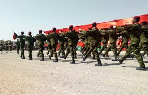 Affaire des 46 Militaires ivoiriens: le sommet de la CEDEAO prévu ce jeudi