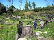 L’Europe peut-elle sauver l’environnement?