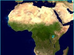 L’africapitalisme : l’avenir de l’Afrique
