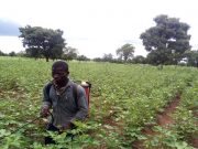 Travail des enfants au Burkina: appel à proposition pour la mise en œuvre d’un programme intégré