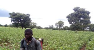 Travail des enfants au Burkina: appel à proposition pour la mise en œuvre d’un programme intégré