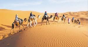 Conférence de Marrakech: pour l’«exclusivité des Nations Unies dans l’examen du différend régional au sujet du Sahara marocain»
