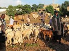 Massacre de Peuls au Mali: à quand la fin de la tragédie?