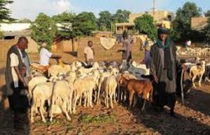 Massacre de Peuls au Mali: à quand la fin de la tragédie?
