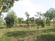 Déclassement de la forêt de Kua: «Le gouvernement tranchera» (ministre Dandjinou)