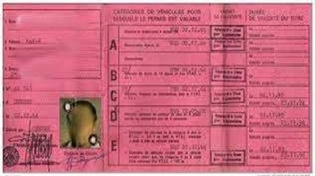 Permis de conduire burkinabè