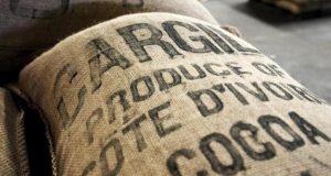 Commercialisation du Cacao: le Ghana et la Côte d’Ivoire suspendent leur vente