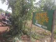 Forêt classée de KUA: l’analyse du Centre pour la Gouvernance de l’Eau et de l’Environnement (CG2E)