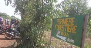 Bobo-Dioulasso: l’incendie de la forêt de Kua reste un mystère