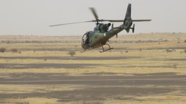 gazelle_fourt_0