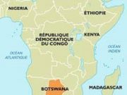 Botswana : des solutions pour sauver les éléphants ?
