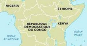 Botswana : des solutions pour sauver les éléphants ?