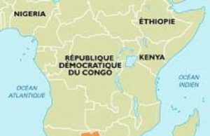 Botswana : des solutions pour sauver les éléphants ?