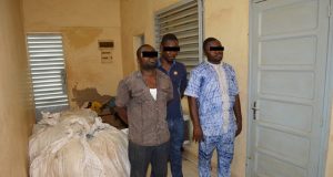 Burkina: décès de 11 détenus à l’unité Anti-Drogue (Procureur du Faso)