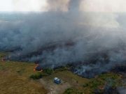 Brésil: de violents incendies ravagent l’Amazonie