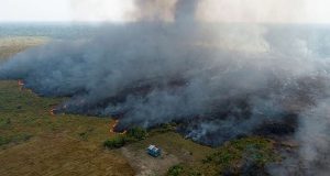 Brésil: de violents incendies ravagent l’Amazonie
