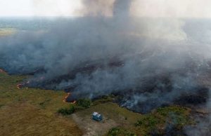 Brésil: de violents incendies ravagent l’Amazonie
