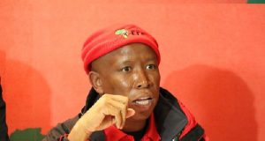 Afrique du Sud: Julius Malema s’indigne contre les actes de xénophobie