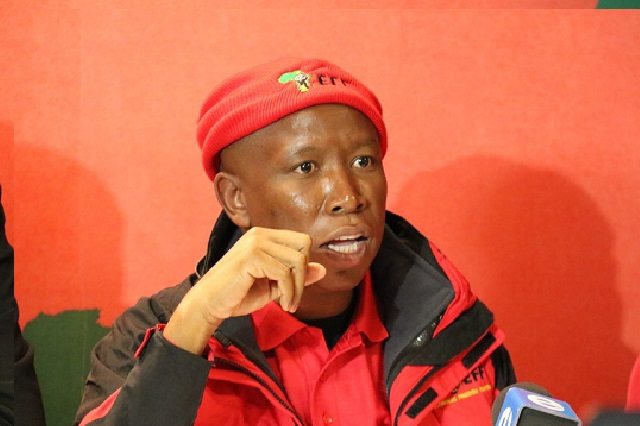 Julius Malema