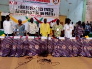 Burkina: « Il faut une assistance sécuritaire vigoureuse » (CDP)