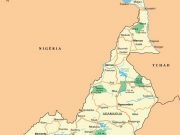 Cameroun: un glissement de terrain fait plus de 40 morts