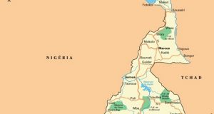 Cameroun: un glissement de terrain fait plus de 40 morts