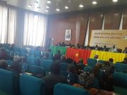 Cameroun: l’épineuse question du fédéralisme au cœur d’un dialogue national