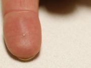 Découverte: voici la caméra la plus minuscule du monde