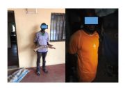 Togo: Deux trafiquants d’ivoire condamnés à 12 mois de prison dont 3 mois de sursis