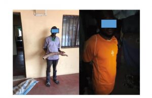 Togo: Deux trafiquants d’ivoire condamnés à 12 mois de prison dont 3 mois de sursis