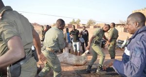 Abattage clandestin à Ouaga: 21 carcasses de porcs et de mouton saisies