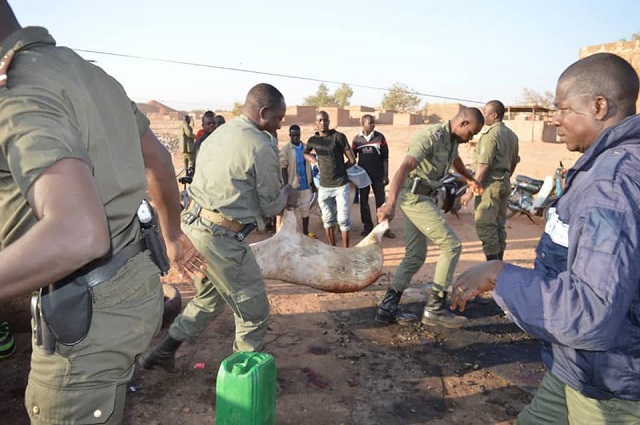 Les policiers municipaux sur le terrain